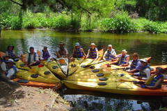 Create Listing: Wekiva River Kayak Tour