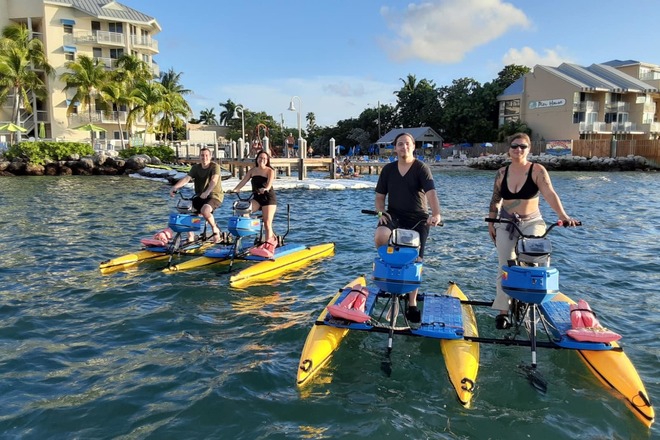 Castaway Island Tour - Lagerhead Beach