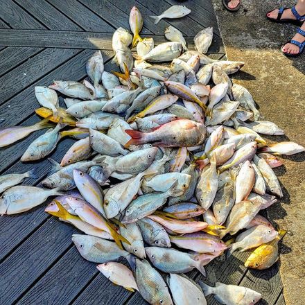 Fishing - 10 AM Trip - 6 hours 