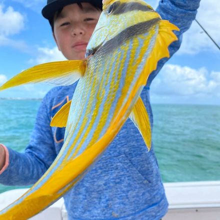 Light Tackle Fishing