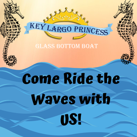 Glass-Bottom Boat Cruises in Key Largo