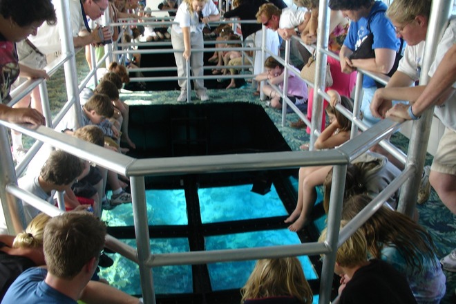 Glass-Bottom Boat Cruises in Key Largo