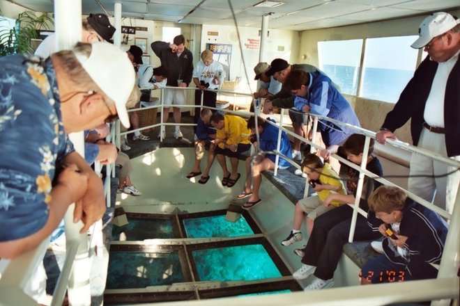 Glass-Bottom Boat Cruises in Key Largo