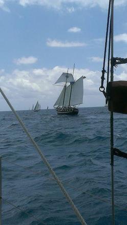 1.5hr Key West Harbor Day Sail
