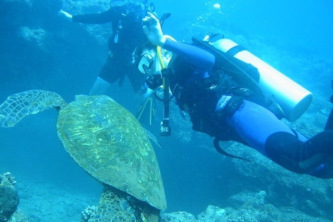 Discover Scuba - 1-Day Resort Course