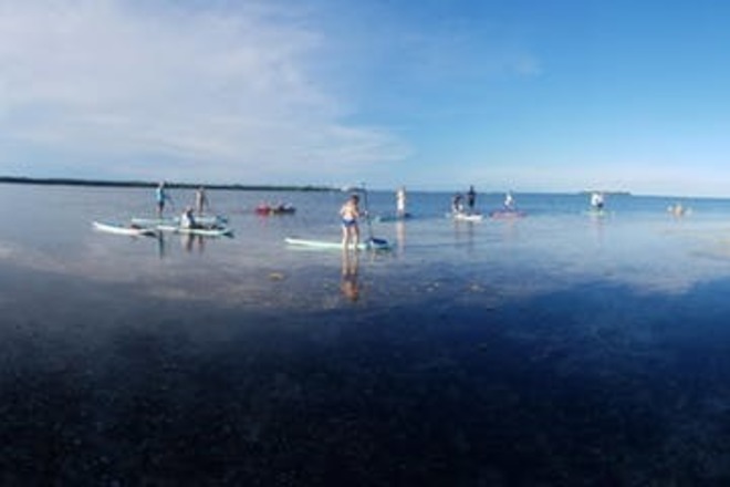 Mangroves and Manatees Eco-Tour