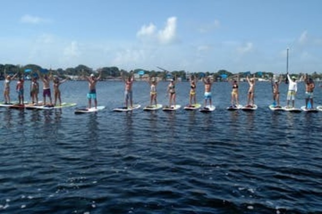 Mangroves and Manatees Eco-Tour