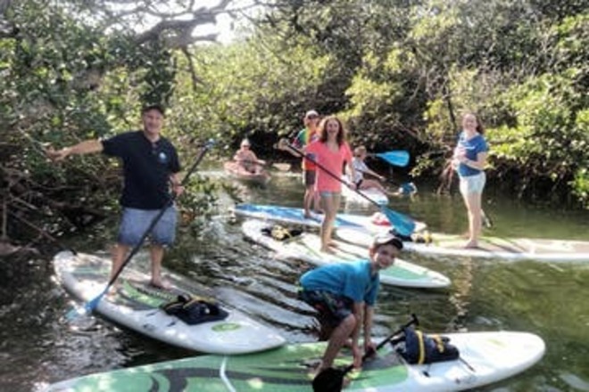 Mangroves and Manatees Eco-Tour