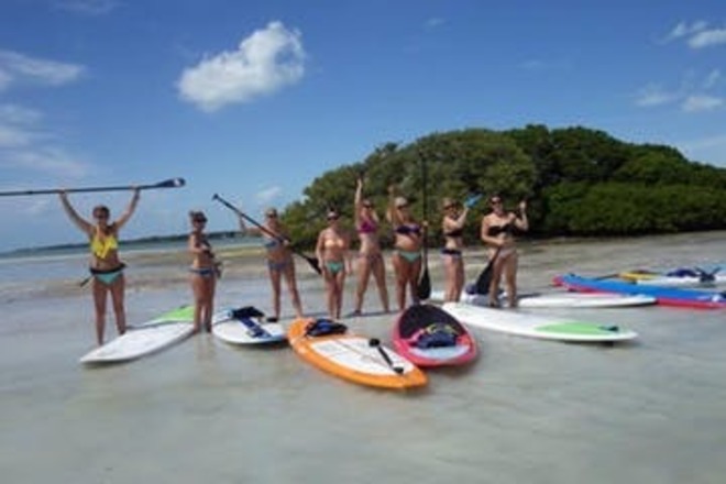 Mangroves and Manatees Eco-Tour