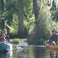 Create Listing: Eco Easy SELF GUIDED Kayak Tour