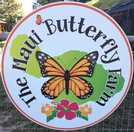 The Maui Butterfly Farm Tour