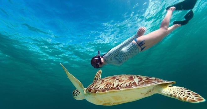 2 Hour Turtle Snorkeling & Ocean Sports