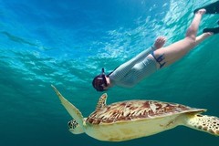 Create Listing: 2 Hour Turtle Snorkeling & Ocean Sports
