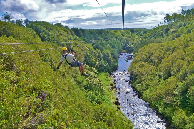 Zipline Through Paradise