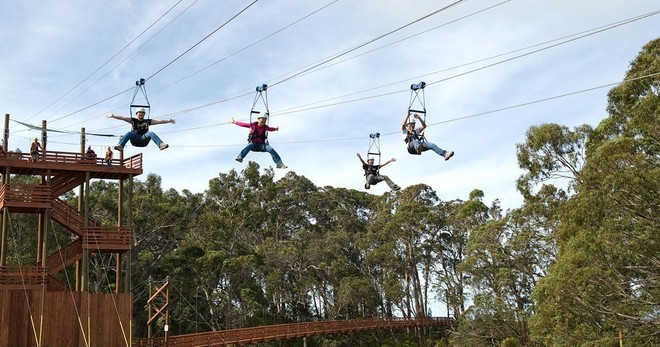 5 Line Side By Side Zipline Tour