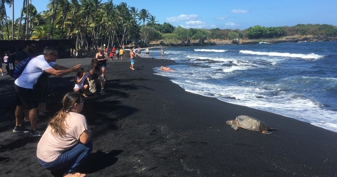 Small Group Big Island Tour