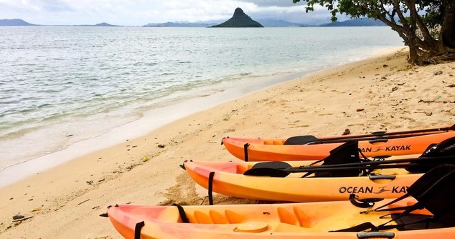 Beach Gear Rentals