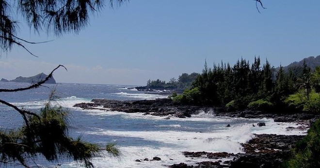 Unique Road to Hana