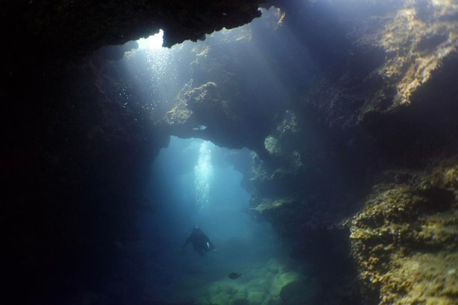 Lava Tube Dives - North Shore