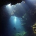 Create Listing: Lava Tube Dives - North Shore