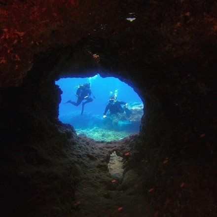Lava Tube Dives - North Shore