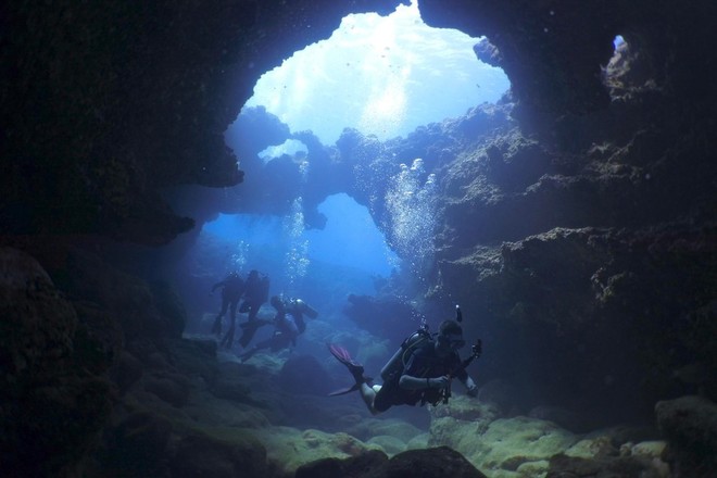 No Experience/Refresher Dive - Waikiki