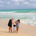 Create Listing: Oahu Specialty Tour - Half Day (6HR)