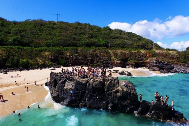 North Shore Beach + Hanauma Bay Tour