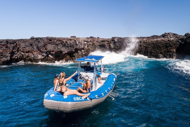 Dolphin Eco-Adventure & Reef Snorkel