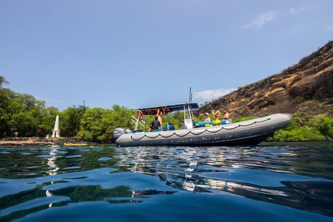 Dolphin Eco-Adventure & Reef Snorkel