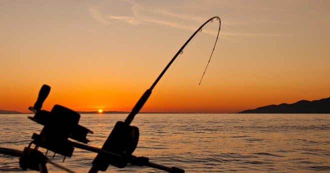 Full Day Charter