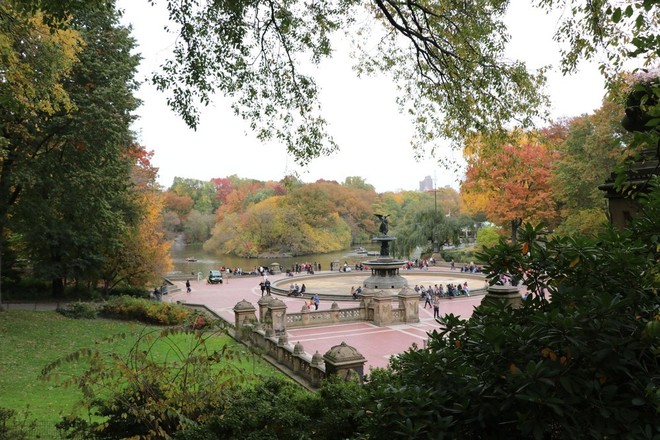Standard Central Park Horse Carriage Ride