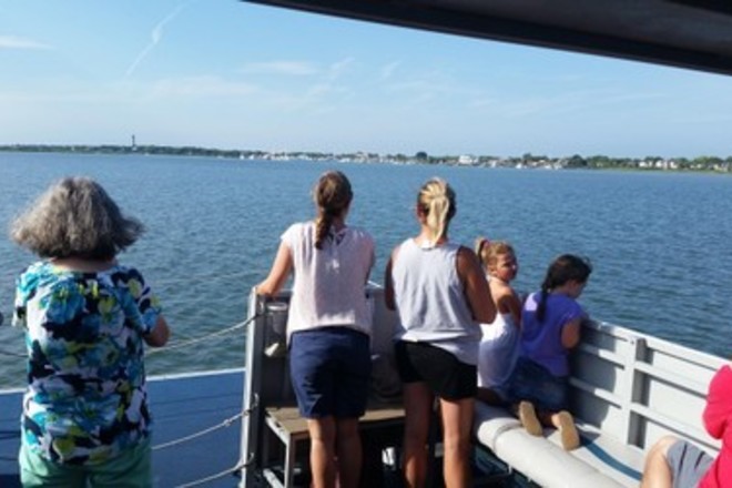 Dolphin and Wildlife Adventure - Island Breeze - 1.5hrs
