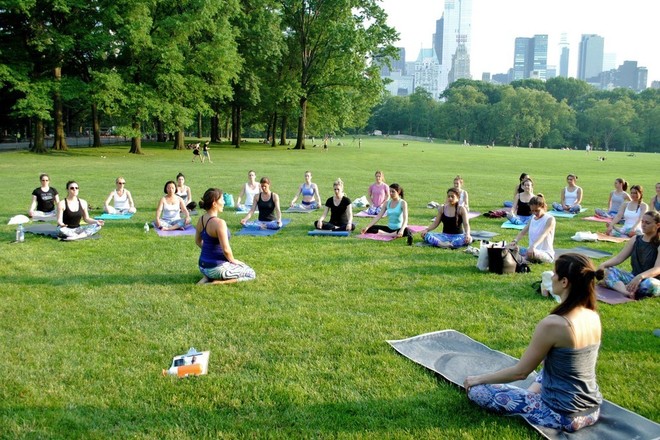 Vinyasa Yoga Class