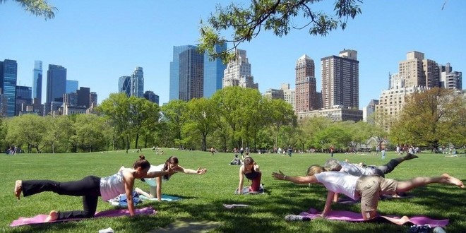 Vinyasa Yoga Class