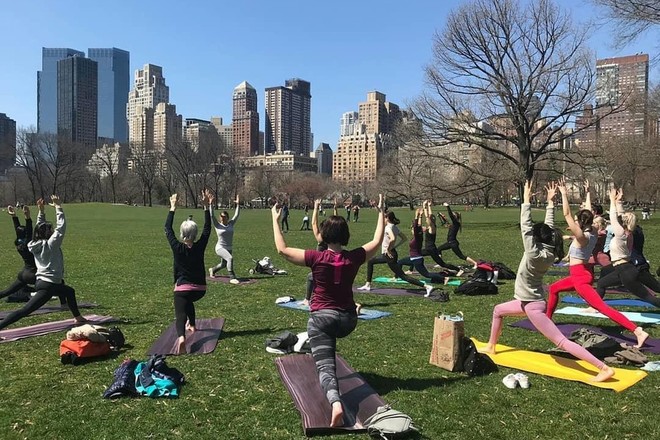 Vinyasa Yoga Class