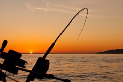 Create Listing: Fishing and Snorkel Rentals (back end only)