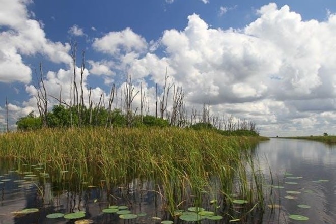 Jon Boat Fishing Rentals