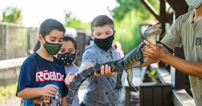 Sawgrass Reptile Exhibit Private Tour
