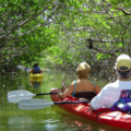 Create Listing: 2 Hour Kayak Eco Tour - All Levels! Everyone's Favorite Tour