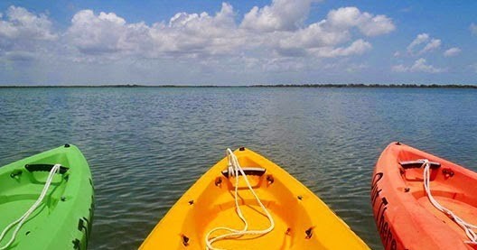 The Gilligan Kayak Tour - 3 Hours • All Ages up to 6 People