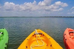 Create Listing: The Gilligan Kayak Tour - 3 Hours • All Ages up to 6 People