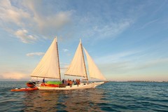 Create Listing: Full Day Premium Sail, Snorkel, Kayak with Lunch - 6.5 Hours