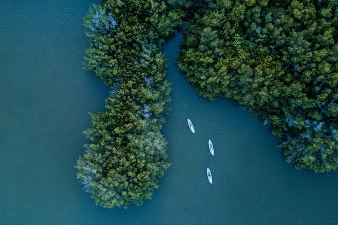 Daytime Guided Kayak Tour