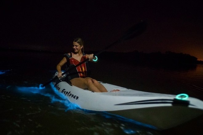 Bioluminescence Kayak Tour