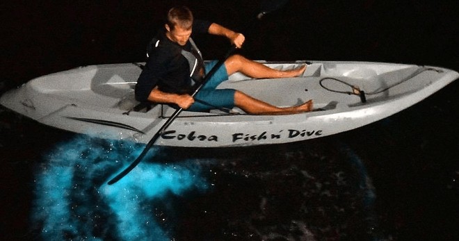 Bioluminescence Kayak Tour