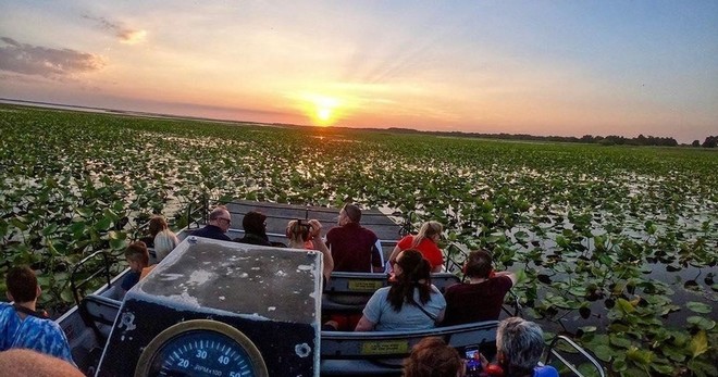 1 Hour Airboat Tour - All Ages 