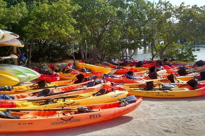 Kayak and Paddleboard Rentals (4 days)