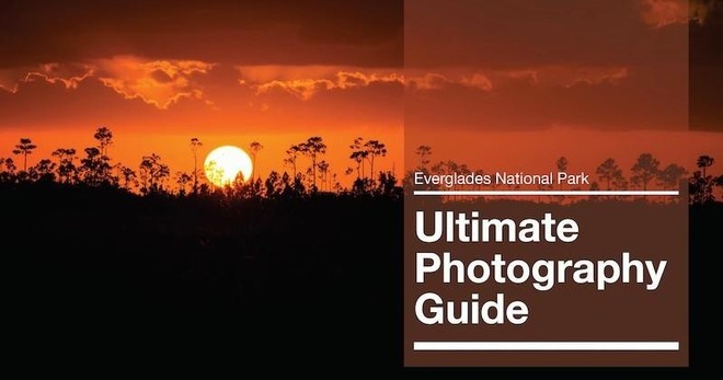 Self Driving Everglades Photography Guide