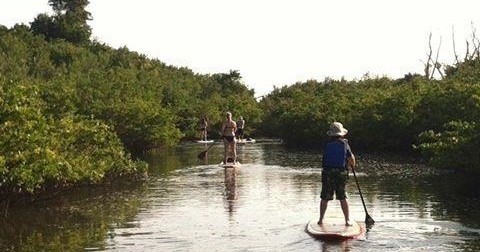 Paddle Board Rentals